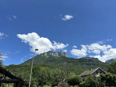IMG_8739.JPG