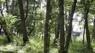 IMG_9099.MOV