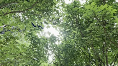 IMG_4516.MOV