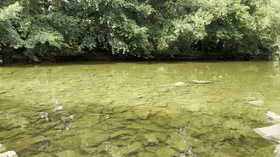 IMG_4313.MOV