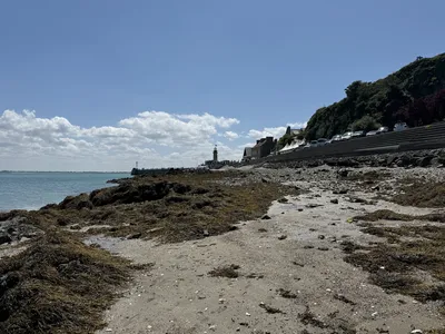 IMG_0910.JPG
