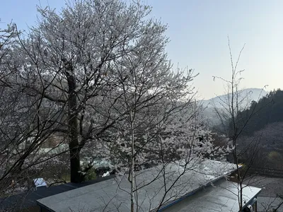 IMG_2338.JPG