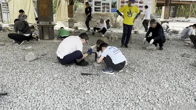 IMG_8365.MOV