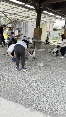 IMG_8363.MOV